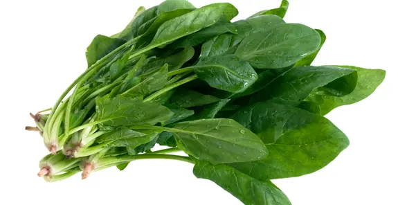 Espinaca Bolsa x 250 g