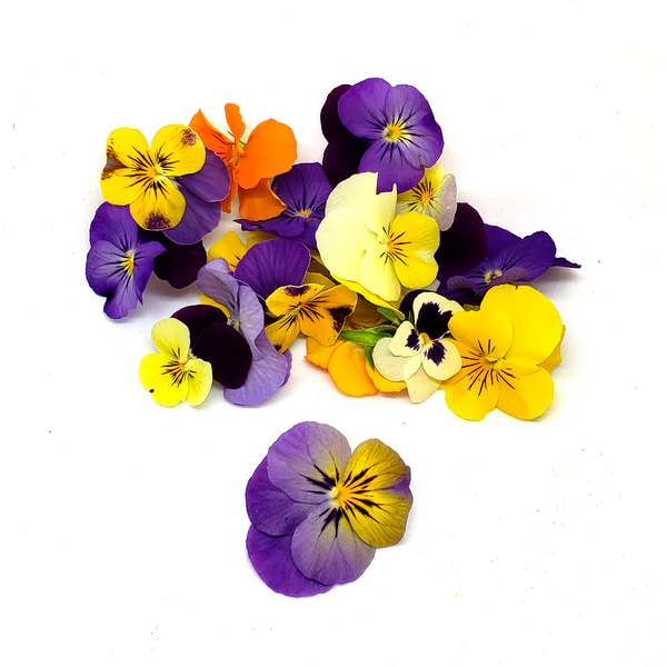 Flor Comestible Bandeja - 100g
