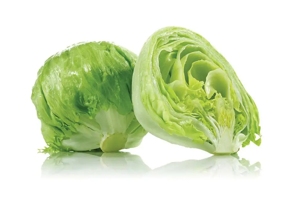 Lechuga Americana - Unidad
