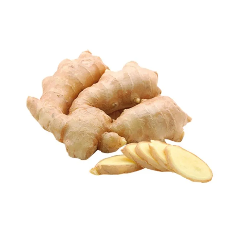 Kion - Malla x 250 g 