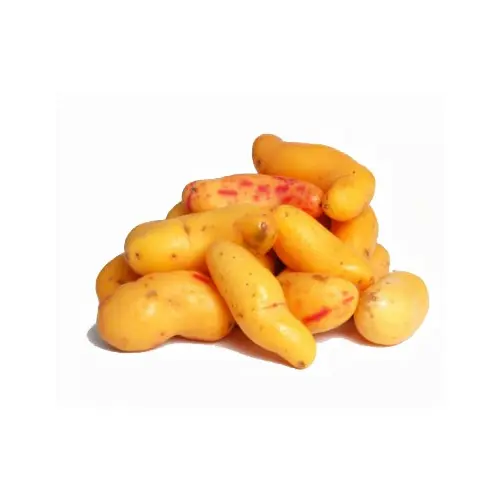 Olluco Entero (Kg)