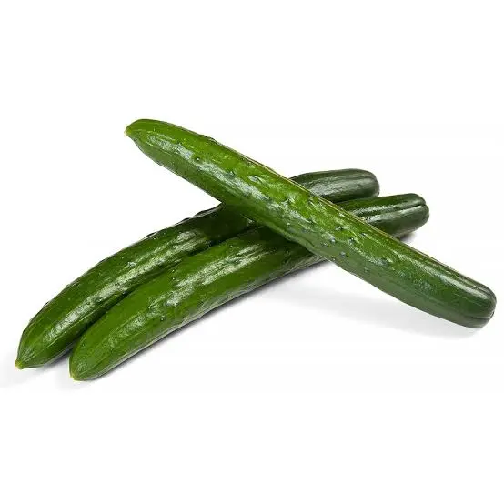 Pepino Japonés