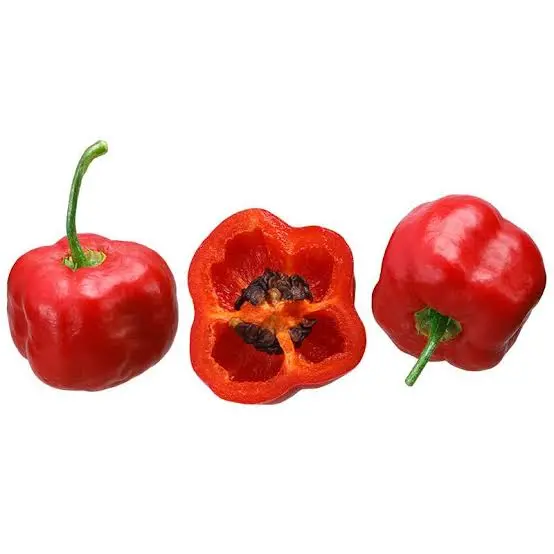 Rocoto - Bandeja x 3 unidades