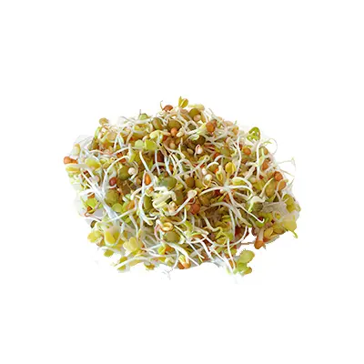 Germinado/Brote De Quinua Bandeja 100g (Quinua Blanca, 100g)
