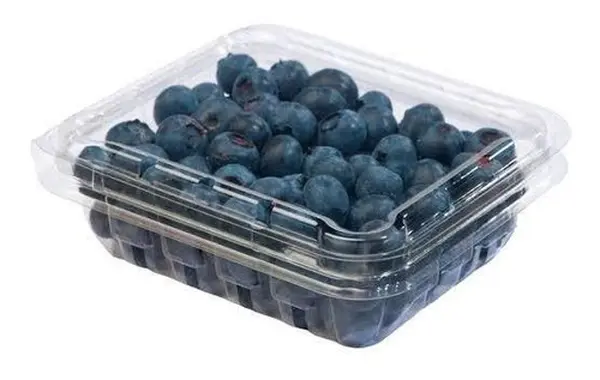 Arándano - Taper de 250 g