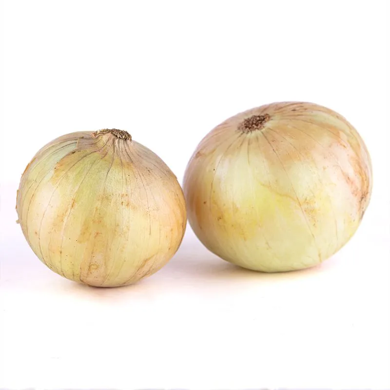 Cebolla blanca -Malla x 500 g