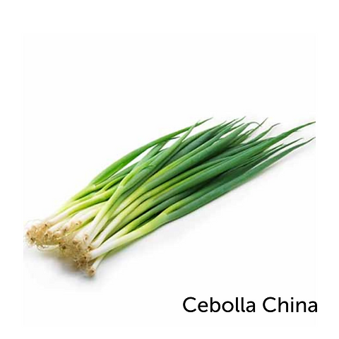 Cebolla CHina - Atado